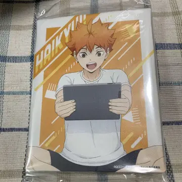 하이큐!! 캔버스 보드 되돌아보기 타임 ver. 히나타 쇼요