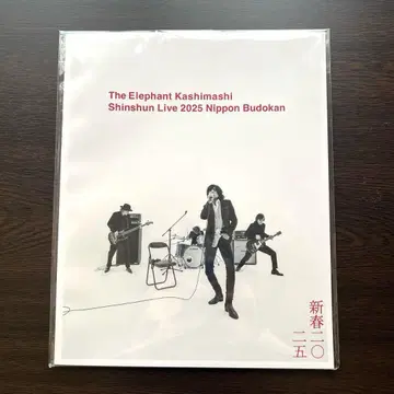 엘리펀트 카시마시 신춘 라이브 2025 팜플렛