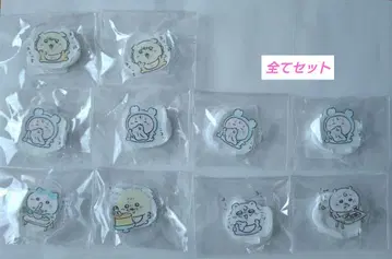 치이카와 베이비