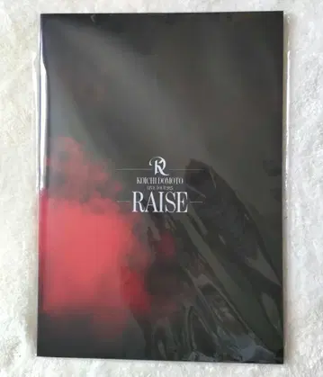 도모토 코이치 팜플렛 RAISE 굿즈