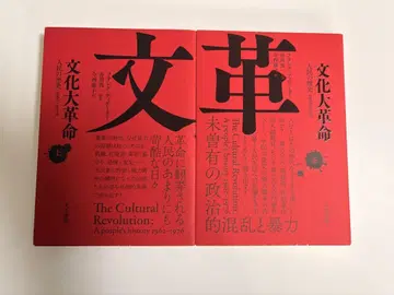 문화대혁명 상권 하권 인민의 역사 1962-1976 2책 세트