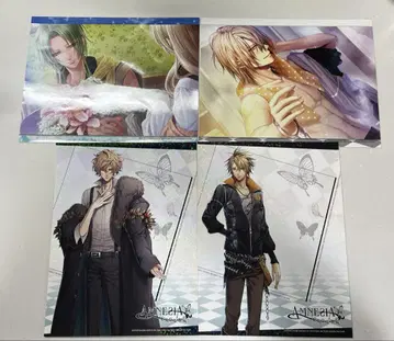 AMNESIA 아뮤네시아 스틸 컬렉션 4장 묶음 판매
