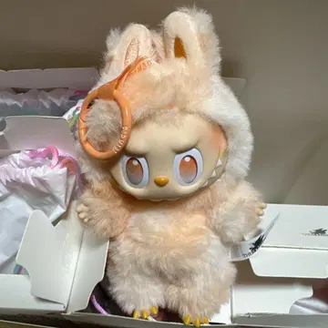 러브브 오렌지 정품