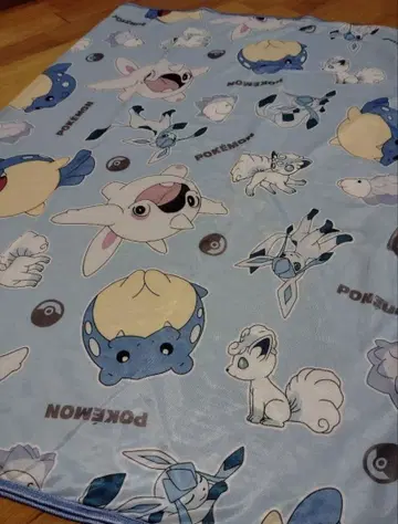 포켓몬스터 냉감 케트