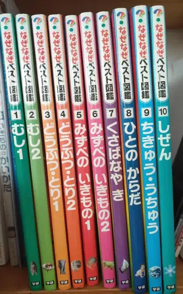 왜왜 베스트 도감