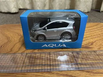 AQUA 실버 미니카