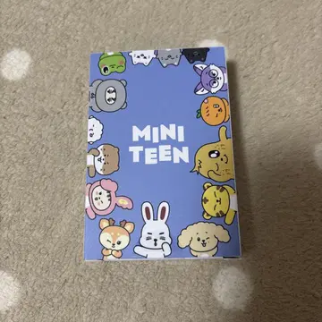 SEVENTEEN MINITEEN 카드놀이