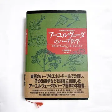 아유르베다 허브 의학 서융합의 약초 치료제