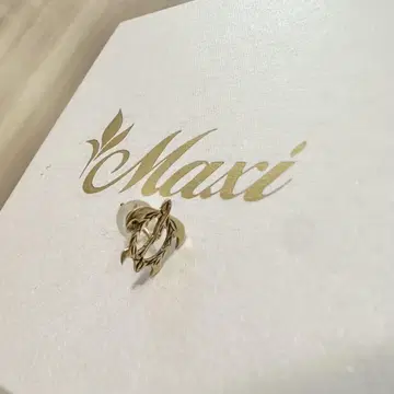 Maxi 호누형 한쪽 귀걸이 K10YG