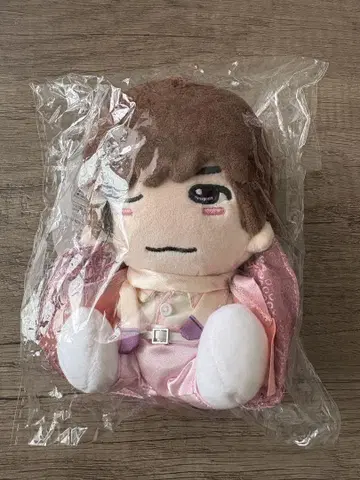 타카하시 쿄헤이 치비 누이
