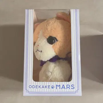 외출 MARS 마르스 후지와라 이츠키