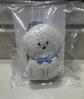 페이 챠무 모후모후 원찬