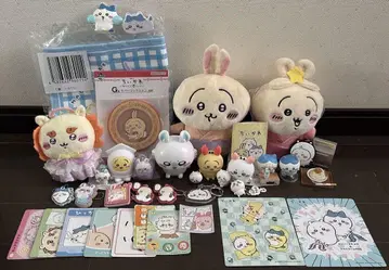 치이카와 세트
