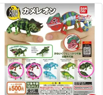 생물대도감 카멜레온