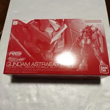 RG GUNDAM ASTREA 건담 아스트레아 TYPE-F