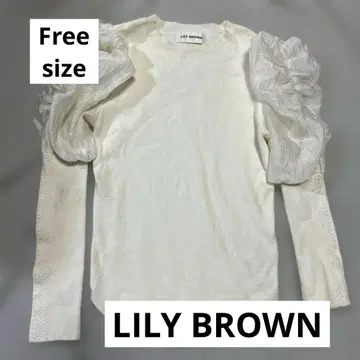 LILY BROWN/릴리 브라운 파워 숄더 니트 시어 퍼프 니트