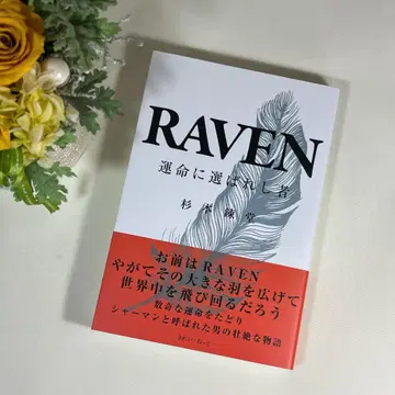 RAVEN 운명에 선택받은 자 스기모토 렌도