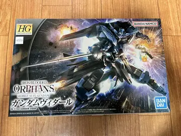 HG 1/144 건담 비다르