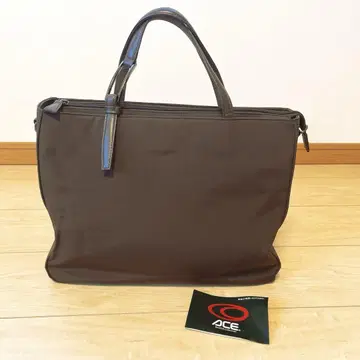 ACE 브라운 비즈니스 백
