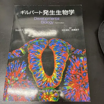 길버트 발생 생물학 제10판
