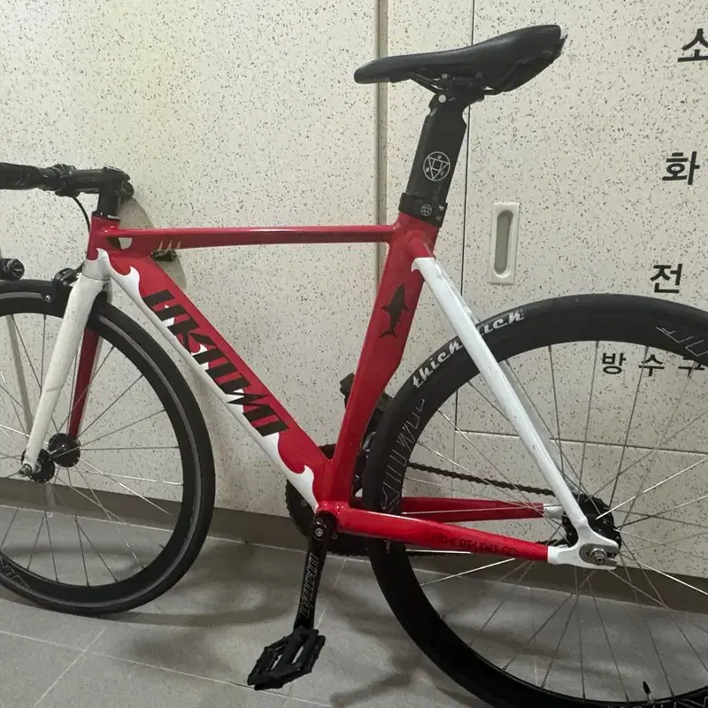 언노운 샤크 2024