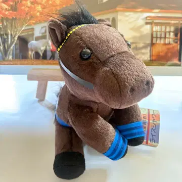 새상품 ] 라이스 샤워 아이돌 호스 M