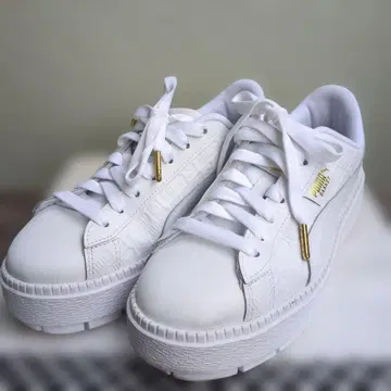 PUMA BASKET 통굽 스니커즈