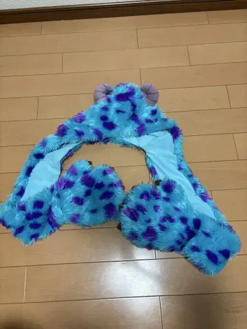 디즈니 팬캡 샐리