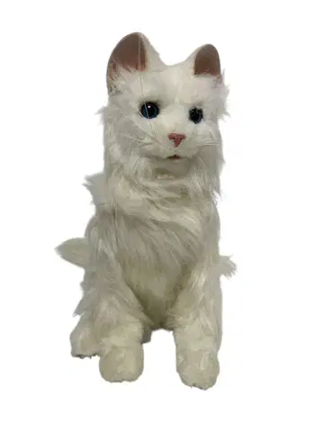 꿈 고양이 프리미엄 (세가토이즈)