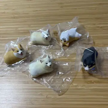 코기 산책 캡슐 토이