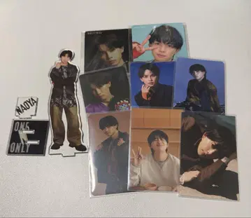NAOYA 트레이 카세트