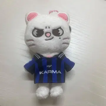 StrayKids 스키즈 KARMA skzoo 지니레트