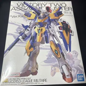 1/100 MG LM314V23/24 V2 어솔트 버스터 건담
