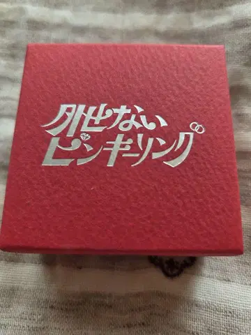 SHOWA-WA 빼놓을 수 없는 핑키링 5호