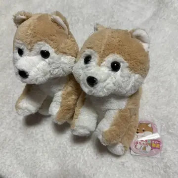 시바견 아기 다이토 한정판 봉제 인형