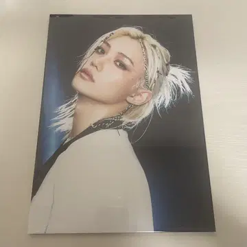 StrayKids 스키즈 KARMA HMV 패널 당첨 필릭스