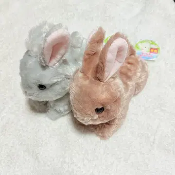 네덜란드 드워프 다이토 한정판 토끼 봉제 인형 2개