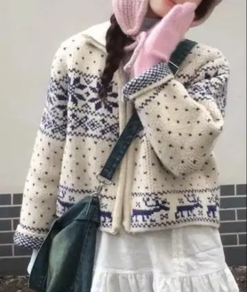 노르딕 무늬 집업 니트탑