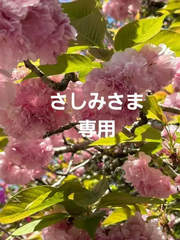 네이비 나염 원단 패턴 이로무지 문 없음 톨 사이즈