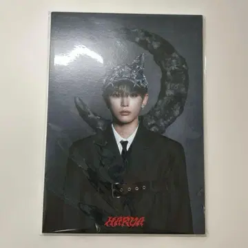 &TEAM 월랑 타워 레코드 패널 하루아
