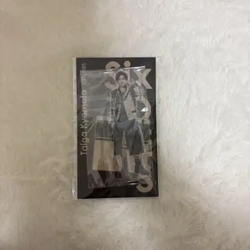 타이가 쿄모토 아크릴 스탠드 SixTONES