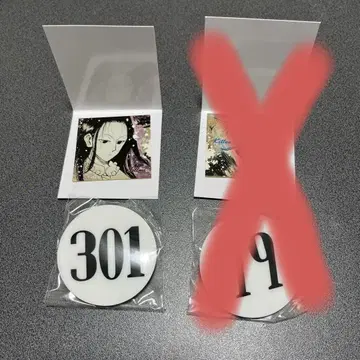 토카시 요시히로전 이르미 번호판 301