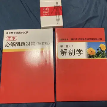 국시 빨간책 필수 문제 대책 그림으로 외우는 해부학 근육 암기 카드
