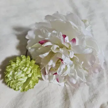 [ 머리 장식 꽃 헤어콤 국화 모란 ]