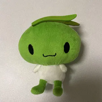 올리브 시마짱 봉제 인형