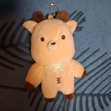 riize 성찬 봉제 인형