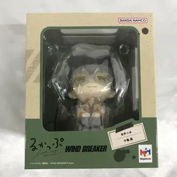룩업 토가메 죠 [ WIND BREAKER ]