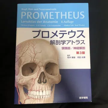 프로메테우스 해부학 아틀라스 두경부/신경 해부