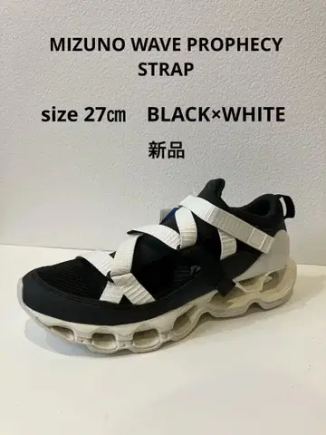 MIZUNO WAVE PROPHECY STRAP 인기!