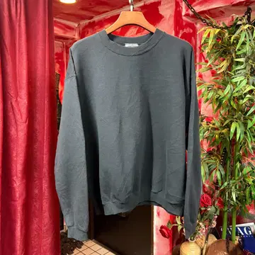 Lee plain cotton sweat